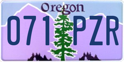OR license plate 071PZR