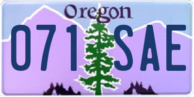 OR license plate 071SAE