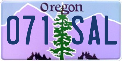 OR license plate 071SAL