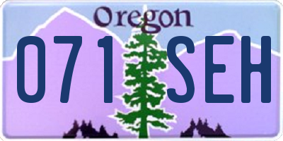 OR license plate 071SEH