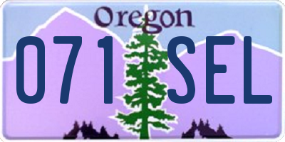 OR license plate 071SEL