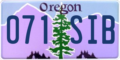 OR license plate 071SIB