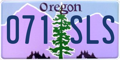 OR license plate 071SLS