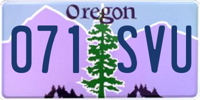 OR license plate 071SVU