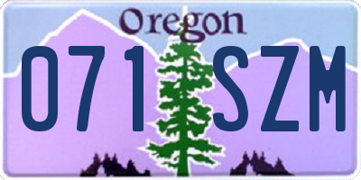 OR license plate 071SZM