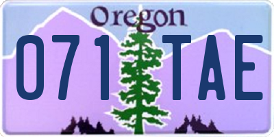OR license plate 071TAE