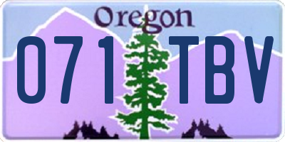 OR license plate 071TBV