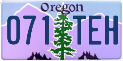 OR license plate 071TEH