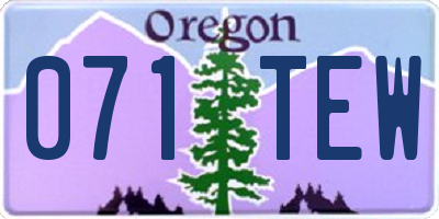 OR license plate 071TEW
