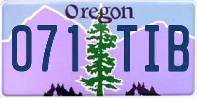 OR license plate 071TIB