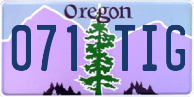 OR license plate 071TIG