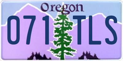 OR license plate 071TLS