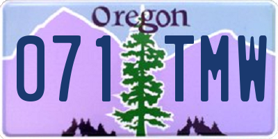 OR license plate 071TMW