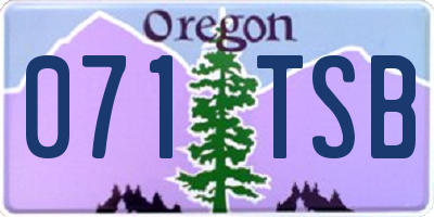 OR license plate 071TSB