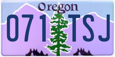 OR license plate 071TSJ