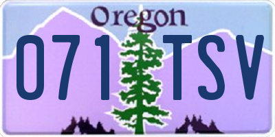 OR license plate 071TSV