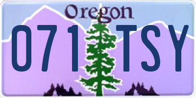 OR license plate 071TSY