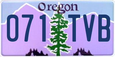 OR license plate 071TVB