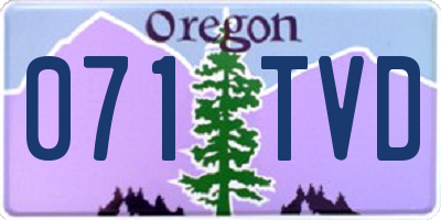 OR license plate 071TVD