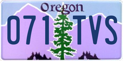 OR license plate 071TVS