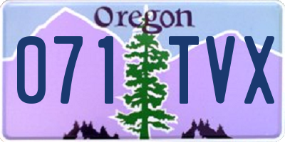 OR license plate 071TVX