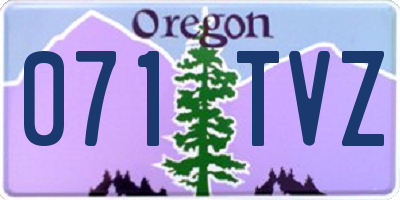 OR license plate 071TVZ
