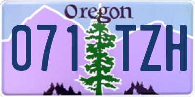 OR license plate 071TZH