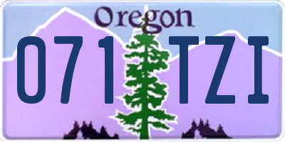 OR license plate 071TZI