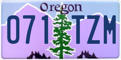 OR license plate 071TZM