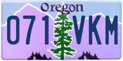 OR license plate 071VKM