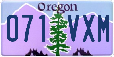 OR license plate 071VXM