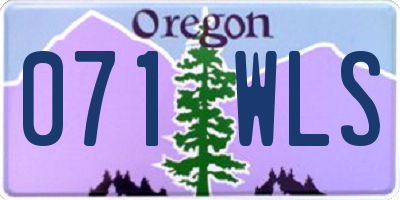 OR license plate 071WLS