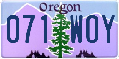 OR license plate 071WOY