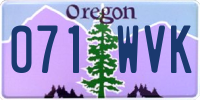 OR license plate 071WVK