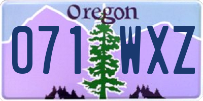 OR license plate 071WXZ