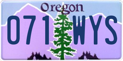 OR license plate 071WYS