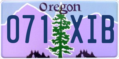 OR license plate 071XIB