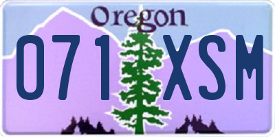 OR license plate 071XSM