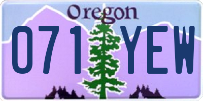 OR license plate 071YEW