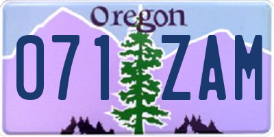 OR license plate 071ZAM