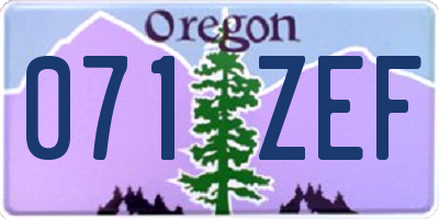OR license plate 071ZEF