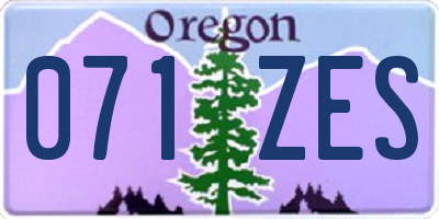 OR license plate 071ZES