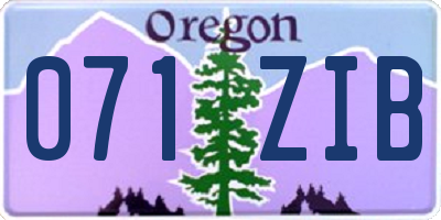 OR license plate 071ZIB
