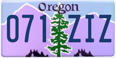 OR license plate 071ZIZ