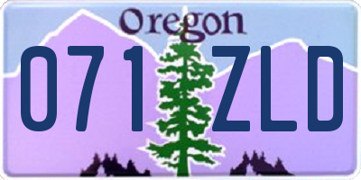 OR license plate 071ZLD