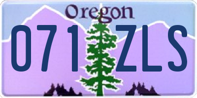 OR license plate 071ZLS
