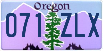 OR license plate 071ZLX