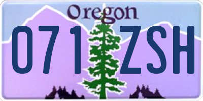 OR license plate 071ZSH