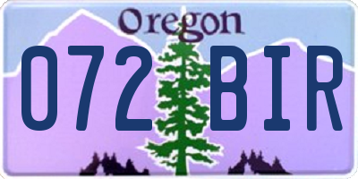 OR license plate 072BIR