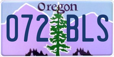 OR license plate 072BLS